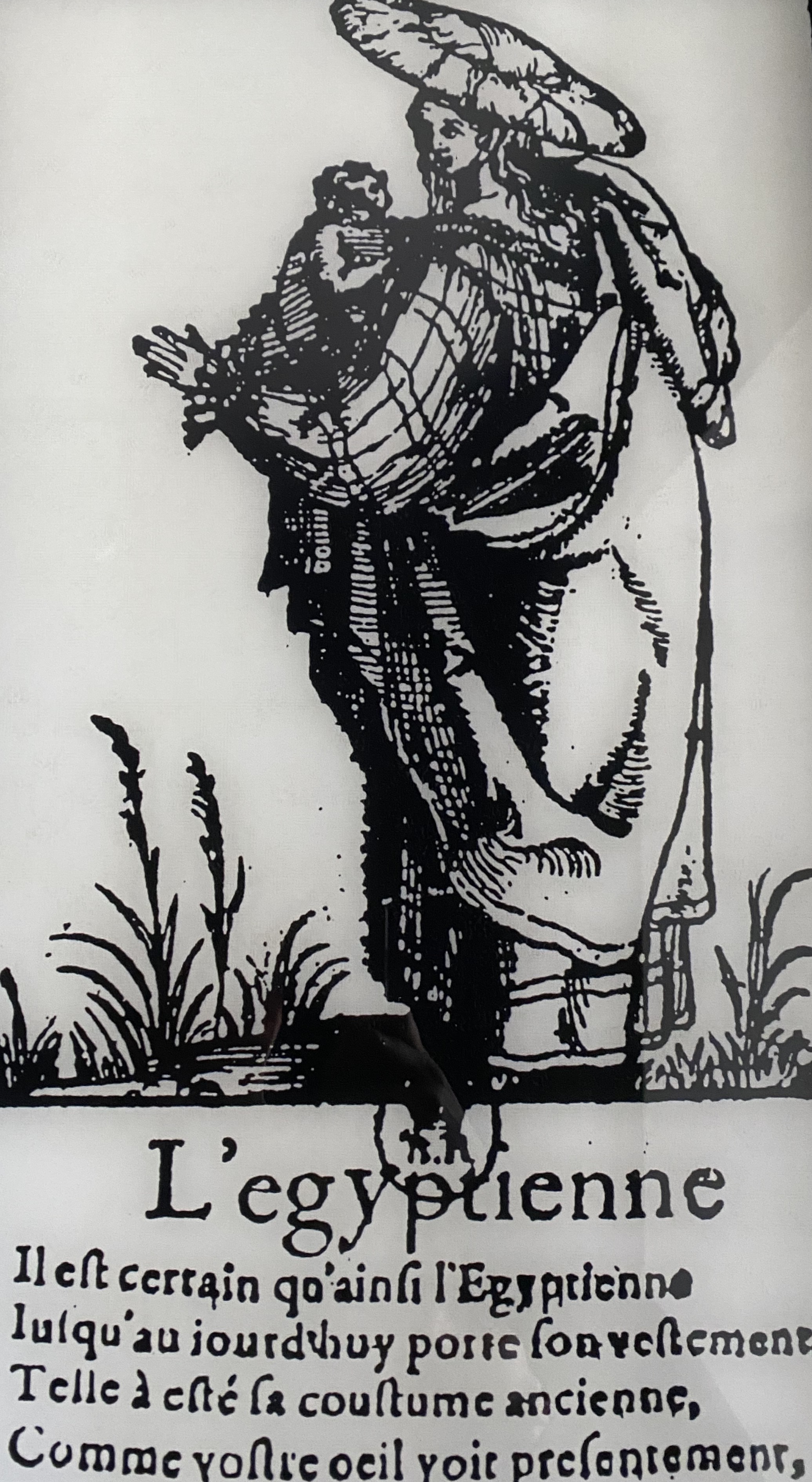 illustration